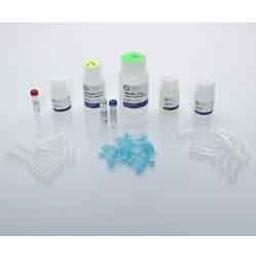 Bacteria DNA Kit - OMNI International Inc. - Life Sciences