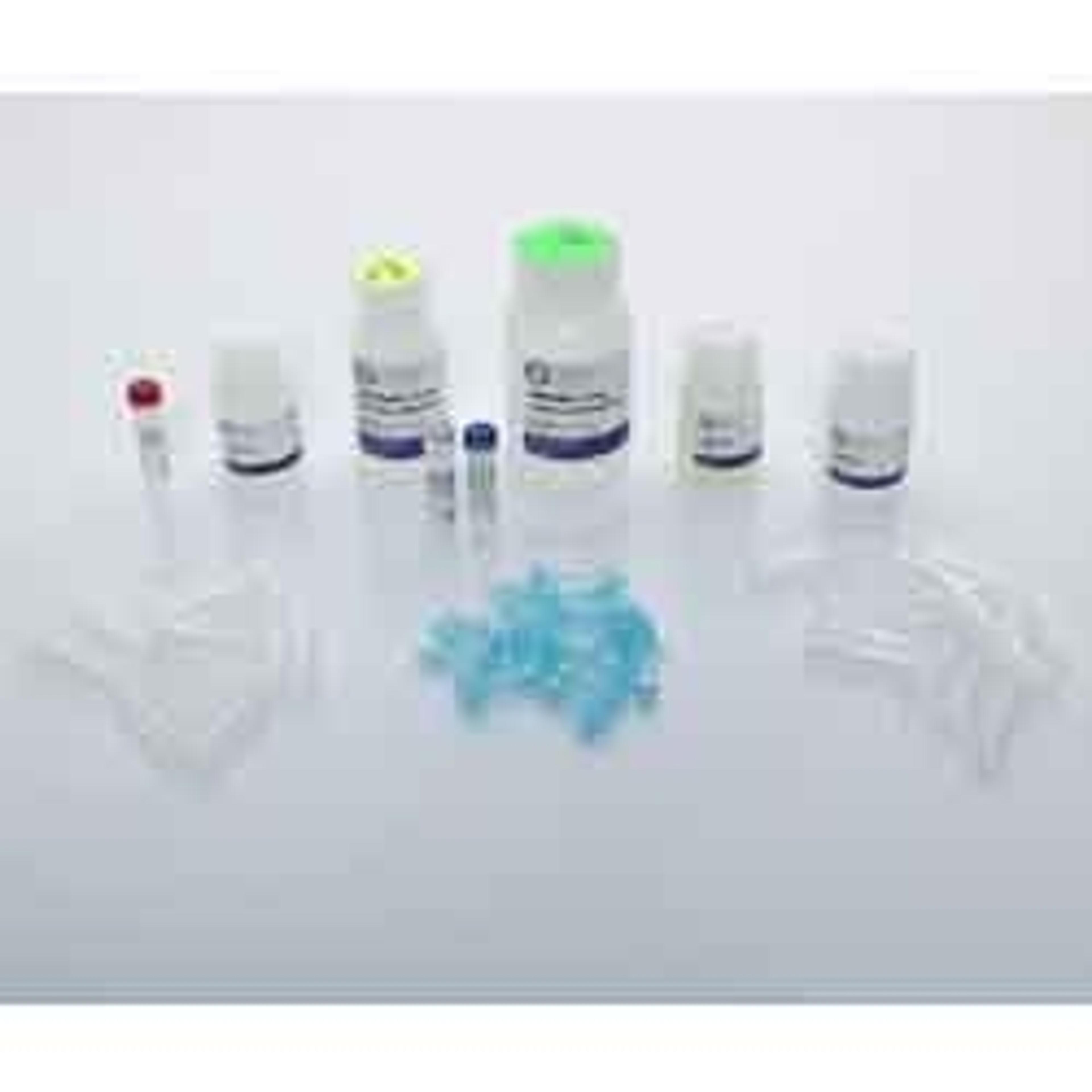 Bacteria DNA Kit - OMNI International Inc. - Life Sciences