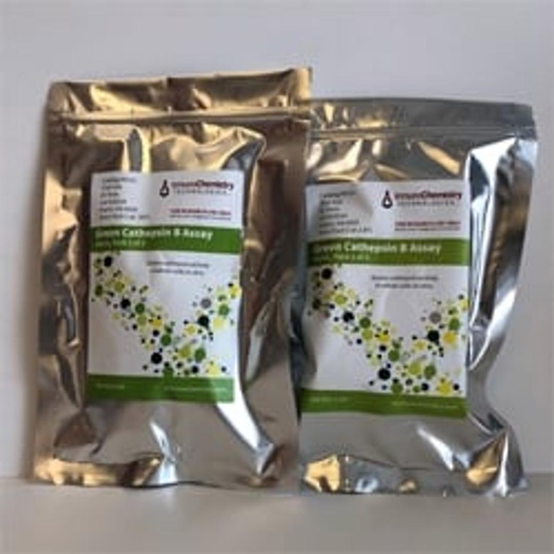 Green Cathepsin B Assay - Immunochemistry Technologies LLC - Life Sciences