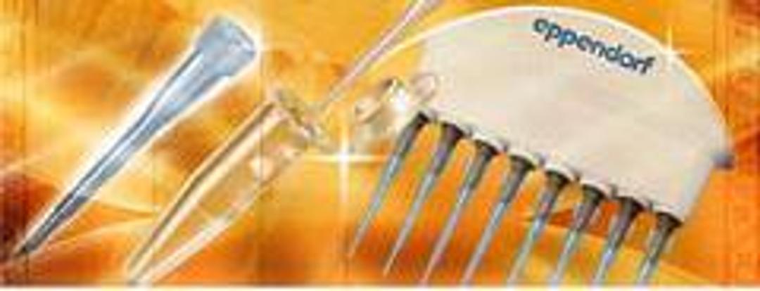 Protein LoBind Tubes - Eppendorf - General Lab