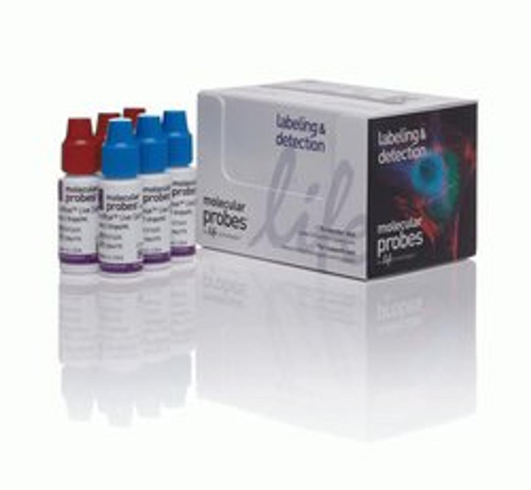 Invitrogen™ ReadyProbes™ Cell Viability Imaging Kit, Blue/Red - Thermo Fisher Scientific - Life Sciences