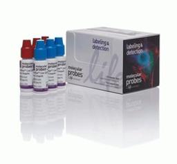 Invitrogen™ ReadyProbes™ Cell Viability Imaging Kit, Blue/Red - Thermo Fisher Scientific - Life Sciences
