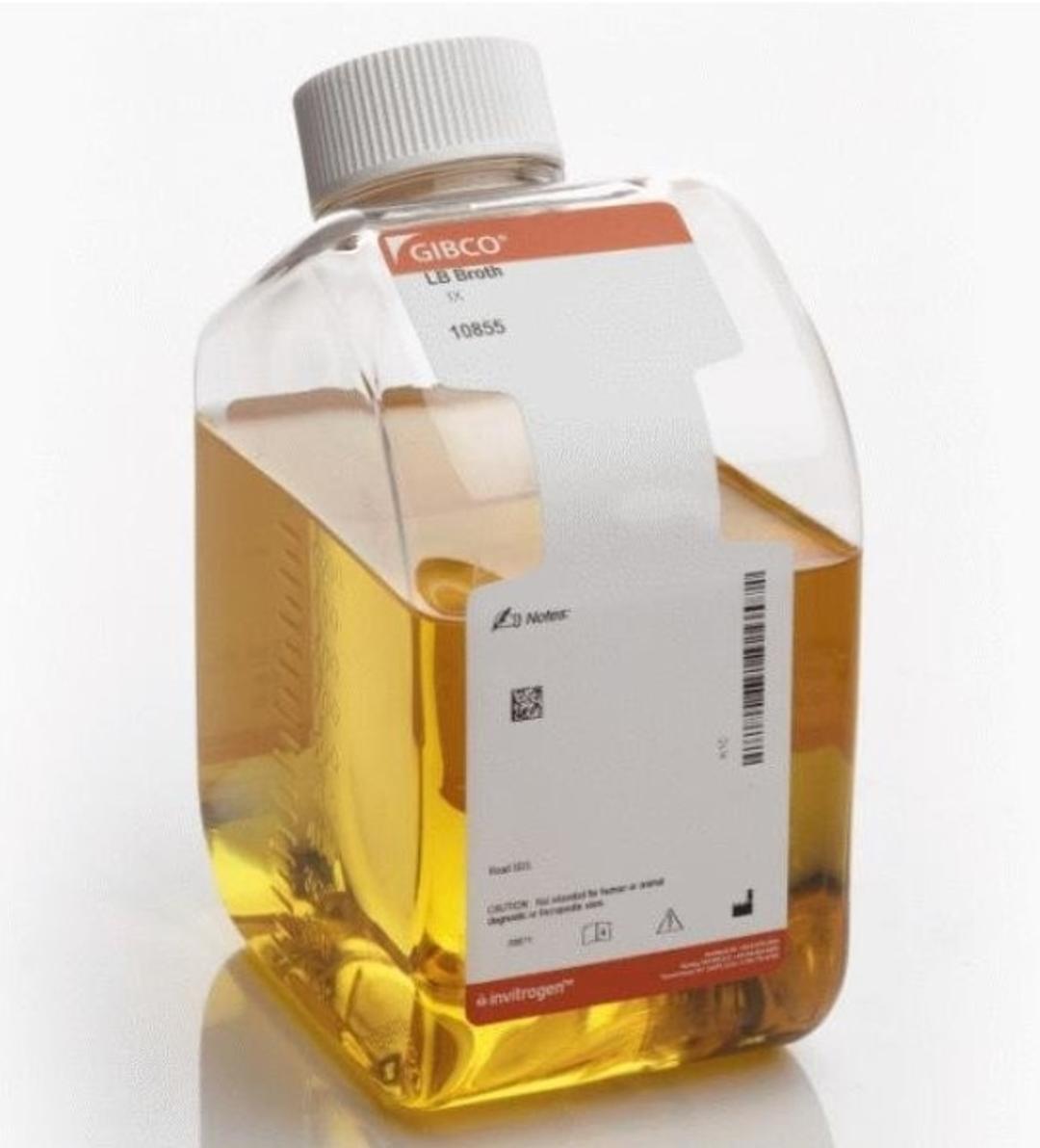 LB Broth - Thermo Fisher Scientific - Life Sciences