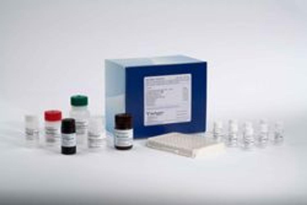 Rat NGAL ELISA kit - BioPorto Diagnostics A/S - Life Sciences