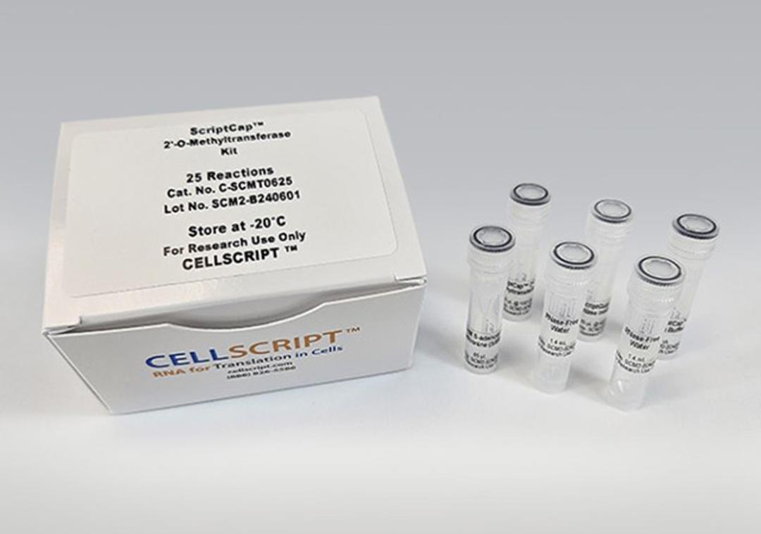 ScriptCap™ 2′-O-Methyltransferase Kit - CELLSCRIPT™ - Life Sciences