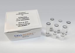 ScriptCap™ 2′-O-Methyltransferase Kit - CELLSCRIPT™ - Life Sciences