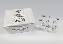 ScriptCap™ 2′-O-Methyltransferase Kit - CELLSCRIPT™ - Life Sciences