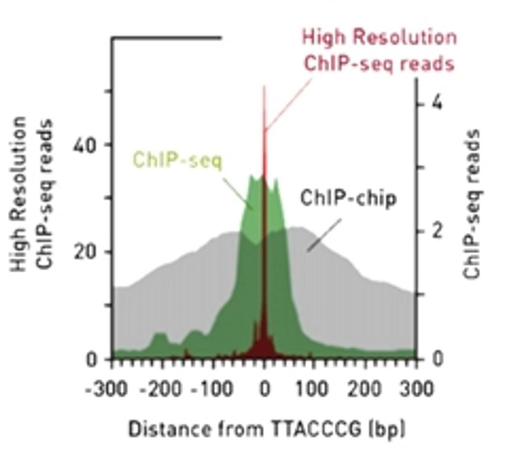 High Resolution ChIP-seq Library Prep kit - Diagenode - Life Sciences