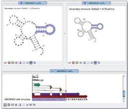 CLC RNA Workbench Software - CLC bio - Life Sciences