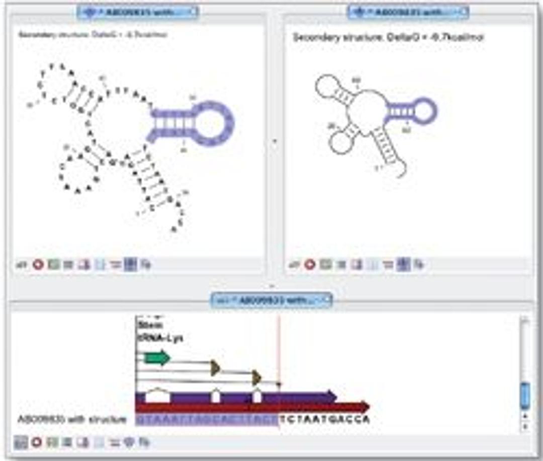 CLC RNA Workbench Software - CLC bio - Life Sciences