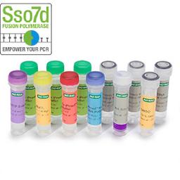 iProof™ High-Fidelity PCR Kit, 200 U (2 U/µl), 100 µl - Bio-Rad - Life Sciences