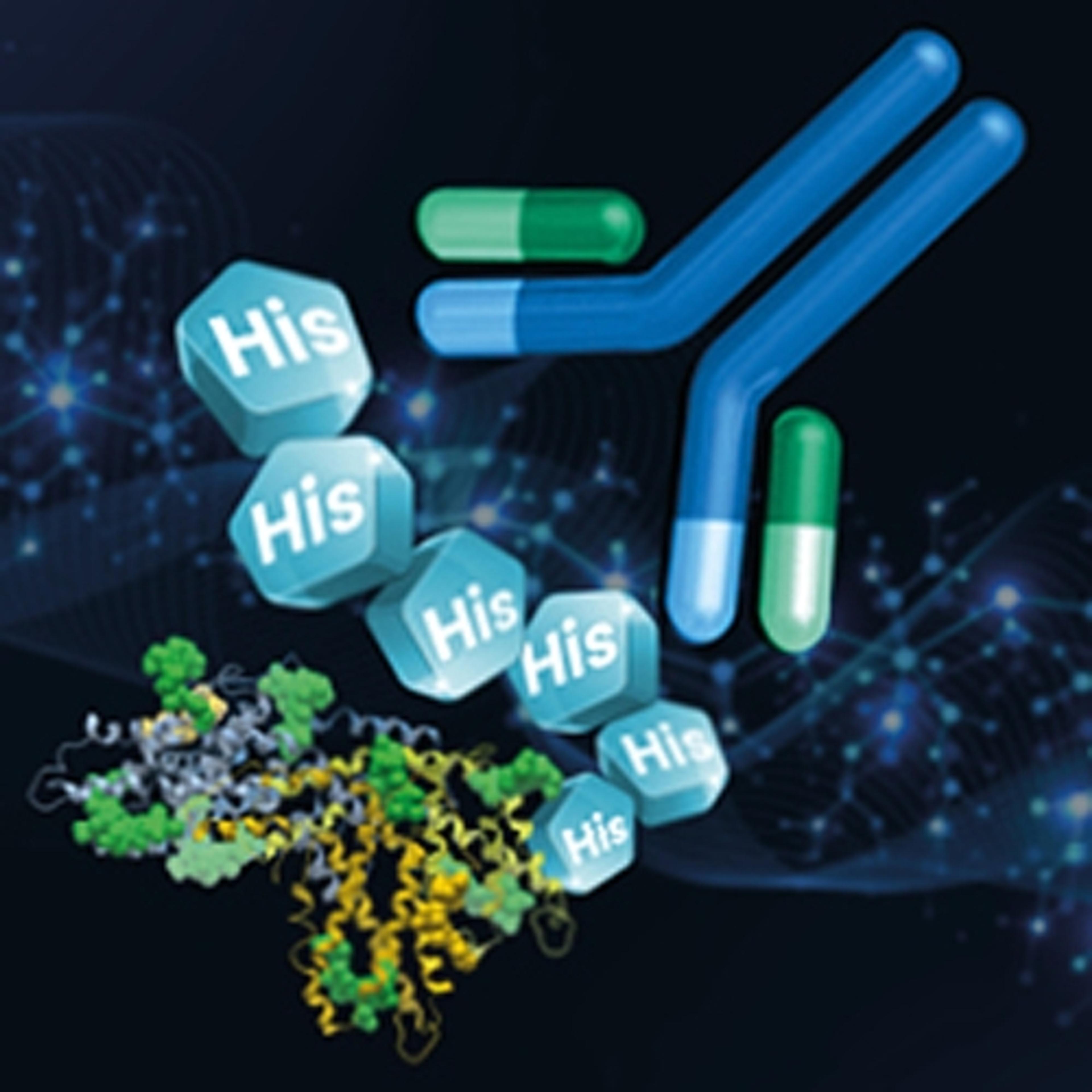 Anti-His Tag antibodies - Jackson ImmunoResearch Laboratories Inc. - Life Sciences