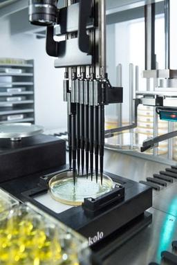 Pickolo™ Colony-Picker - Tecan - Life Sciences