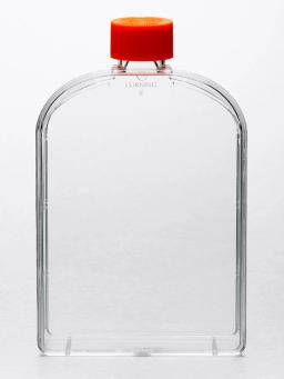 Corning® CellBIND® 175cm² U-Shaped Angled Neck Cell Culture Flask with Vent Cap - Corning Life Sciences - Life Sciences