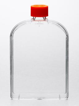 Corning® CellBIND® 175cm² U-Shaped Angled Neck Cell Culture Flask with Vent Cap - Corning Life Sciences - Life Sciences