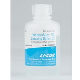 WesternSure ECL Stripping Buffer - LICORbio - Life Sciences
