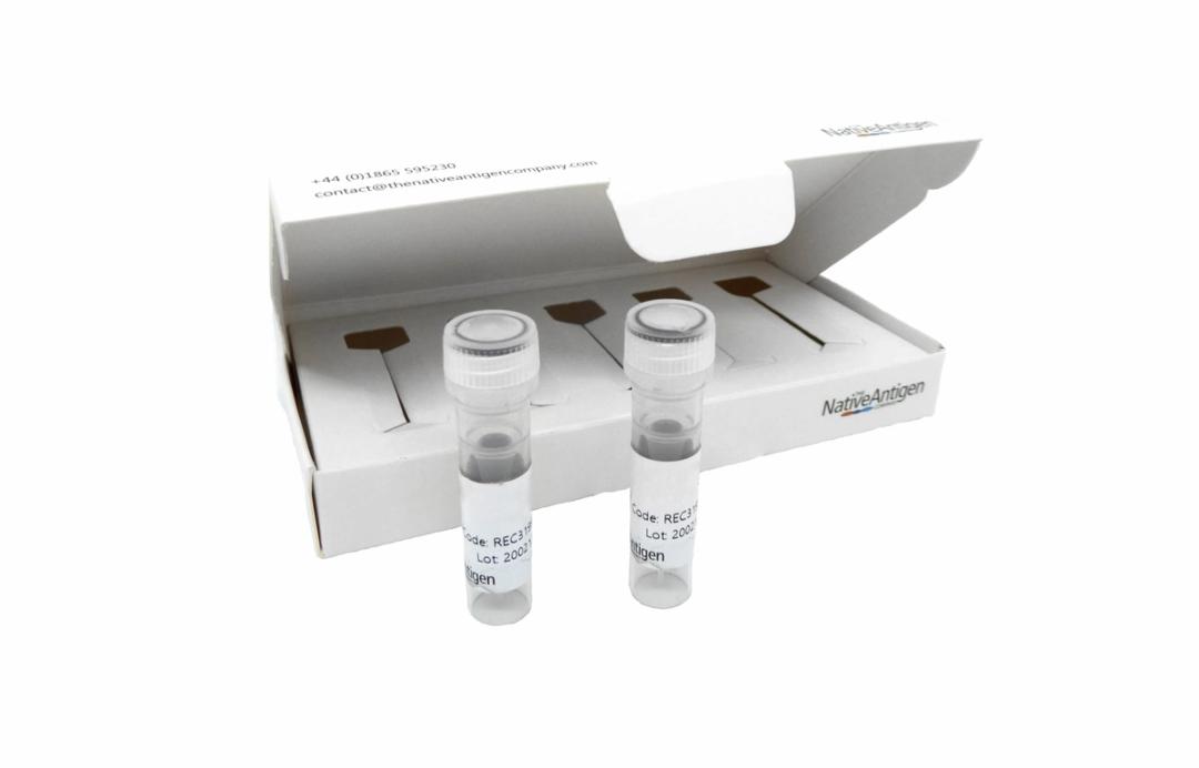 Contract and Custom Services - The Native Antigen Company - Life Sciences