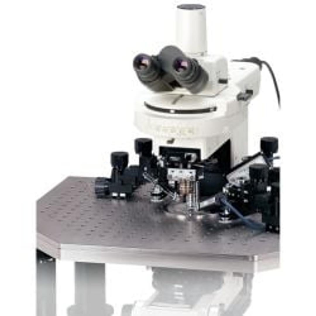 Eclipse FN1 Upright Electrophysiological Microscope - Nikon Healthcare Business – Microscope Solutions - Life Sciences
