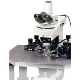 Eclipse FN1 Upright Electrophysiological Microscope - Nikon Healthcare Business – Microscope Solutions - Life Sciences