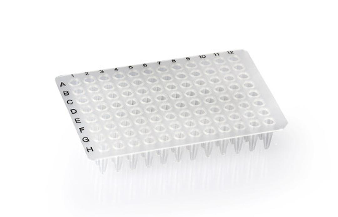 Multiply® 96 Well PCR Plate, no skirt - SARSTEDT AG - Life Sciences