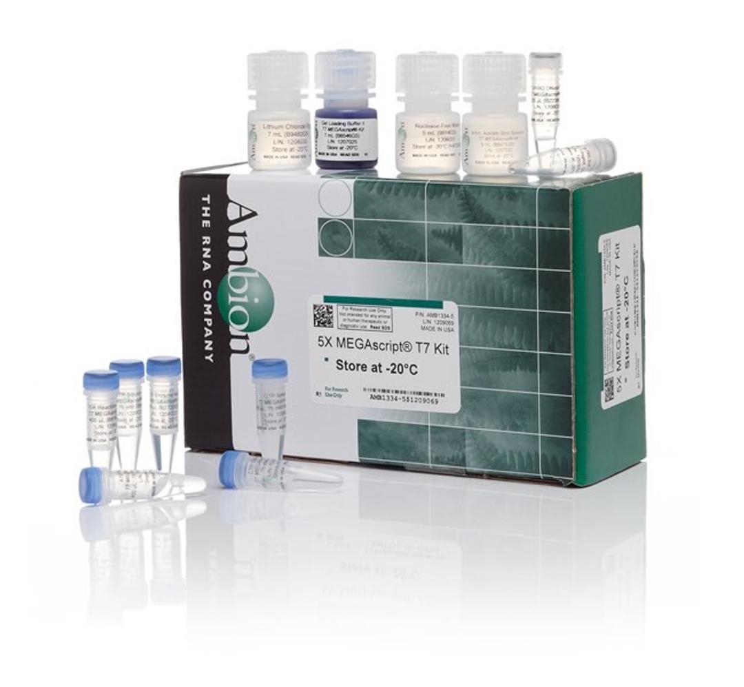 Invitrogen™ MEGAscript™ T7 Transcription Kit - Thermo Fisher Scientific