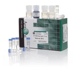 Invitrogen™ MEGAscript™ T7 Transcription Kit - Thermo Fisher Scientific