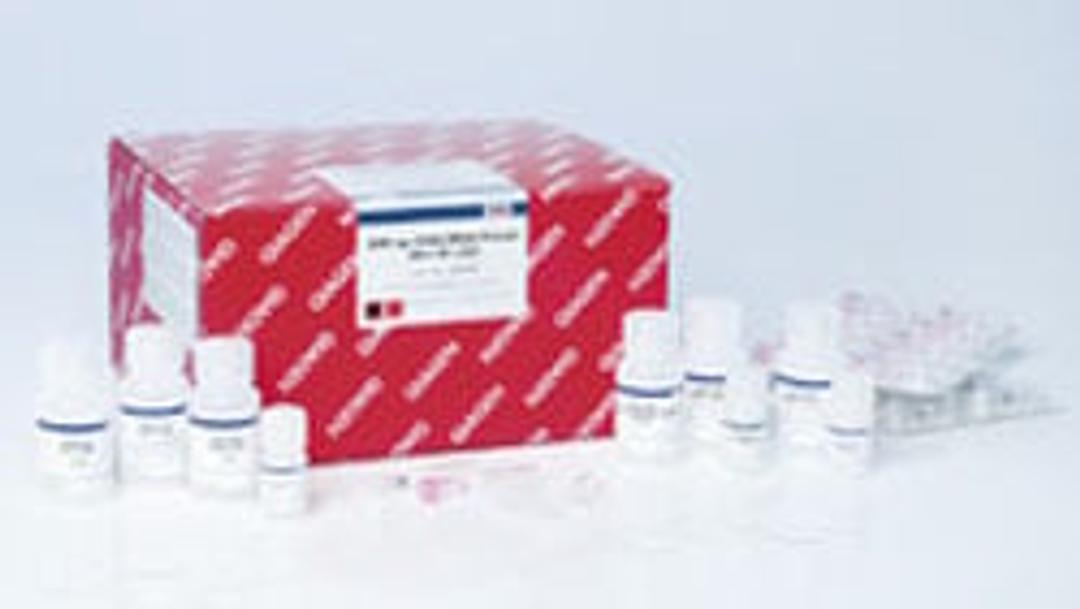 AllPrep DNA/RNA/Protein Mini Kit (50) - QIAGEN