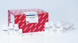 AllPrep DNA/RNA/Protein Mini Kit (50) - QIAGEN