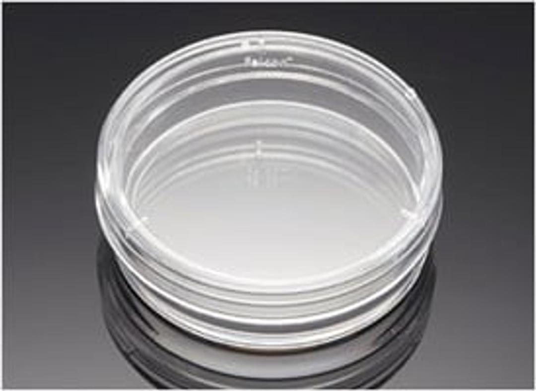 Corning® BioCoat™ Poly-D-Lysine 35 mm TC-treated Culture Dishes, 20/Pack, 100/Case - Corning Life Sciences - General Lab