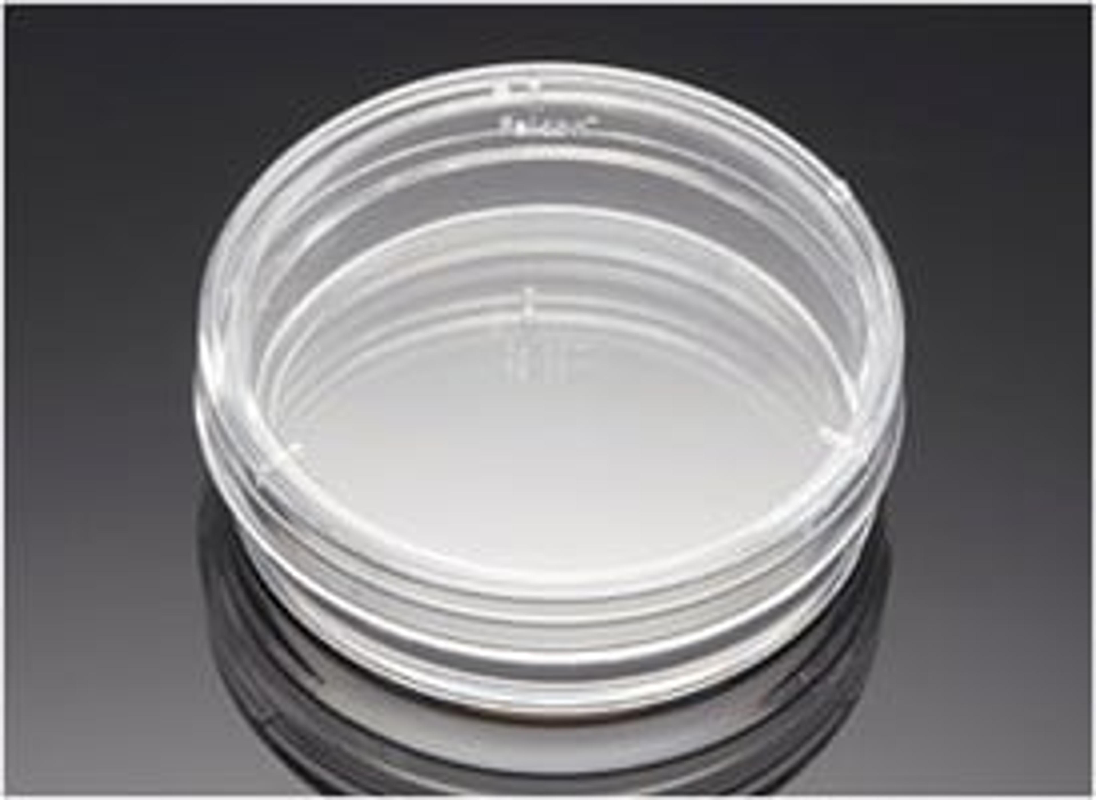 Corning® BioCoat™ Poly-D-Lysine 35 mm TC-treated Culture Dishes, 20/Pack, 100/Case - Corning Life Sciences - General Lab