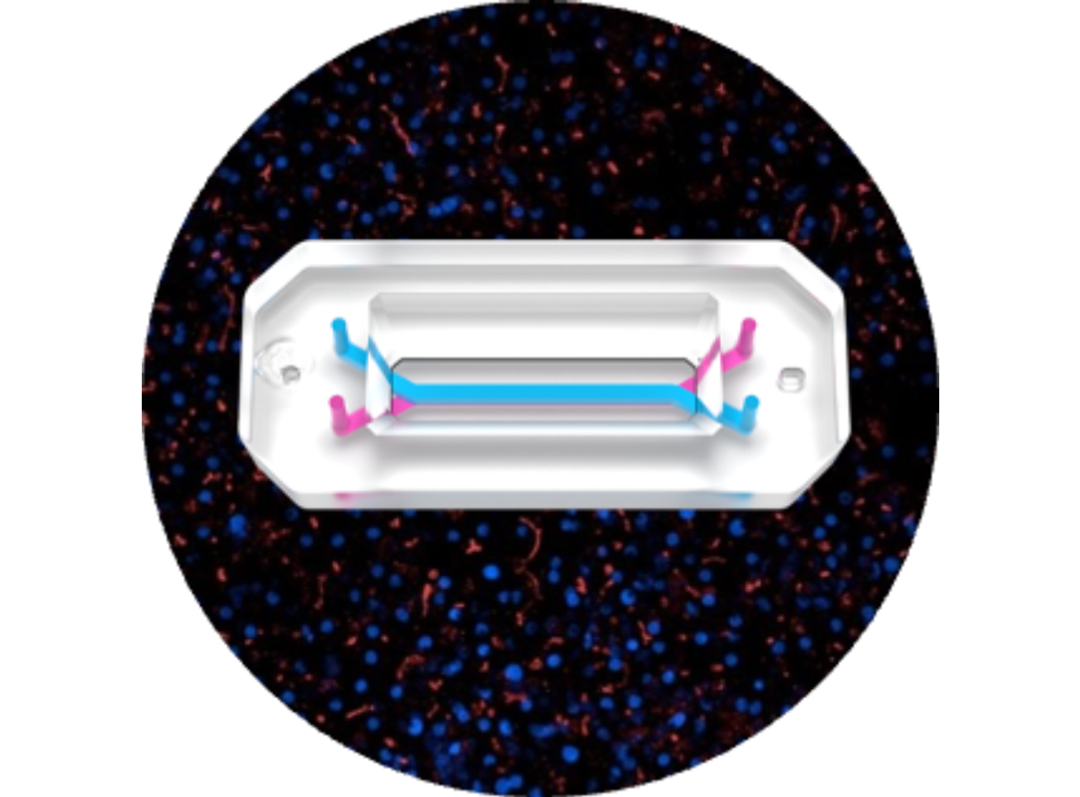 Chip-R1 Basic Research Kit (12-pack) - Emulate - Drug Discovery & Development