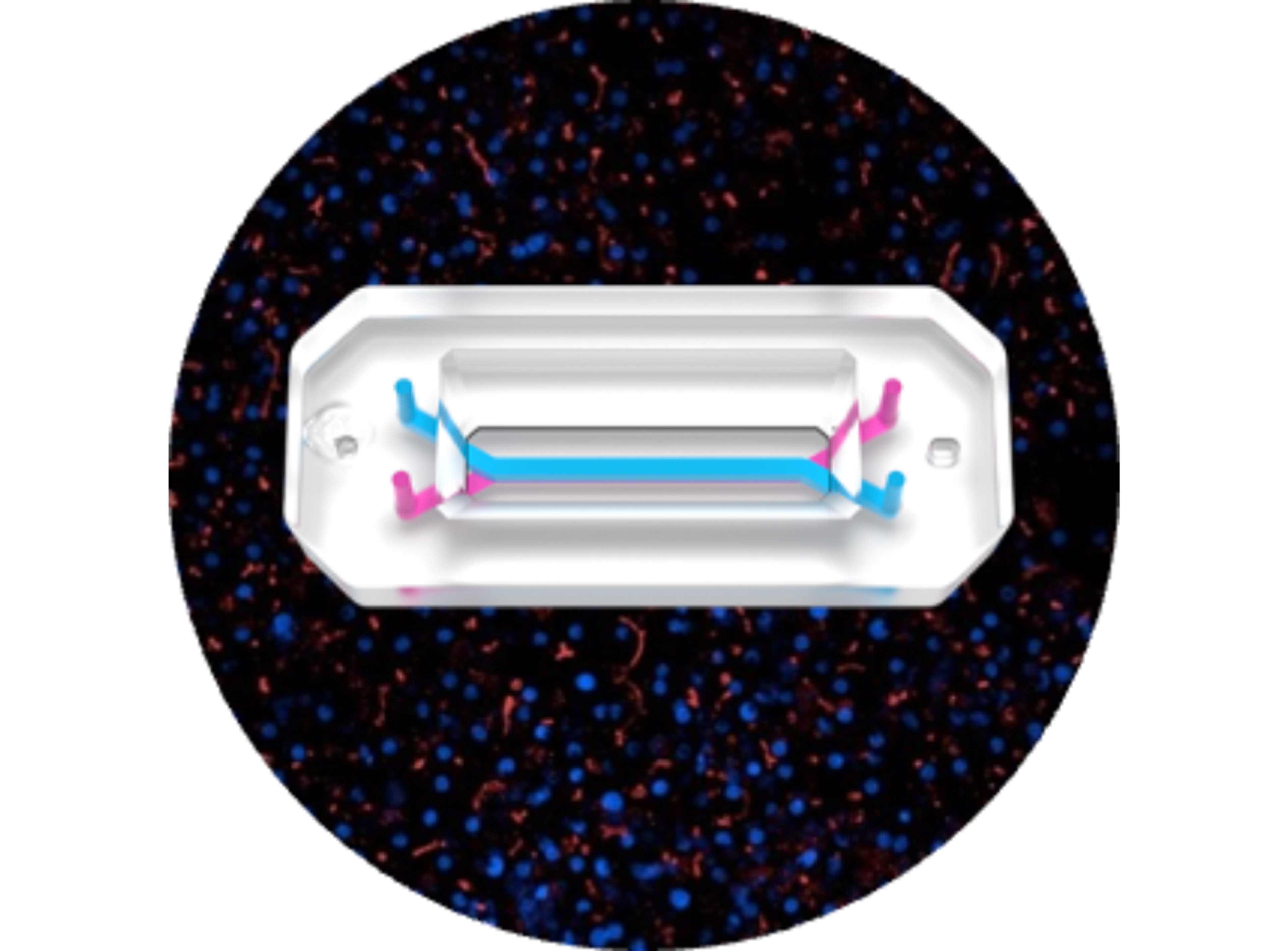 Chip-R1 Basic Research Kit (12-pack) - Emulate - Drug Discovery & Development
