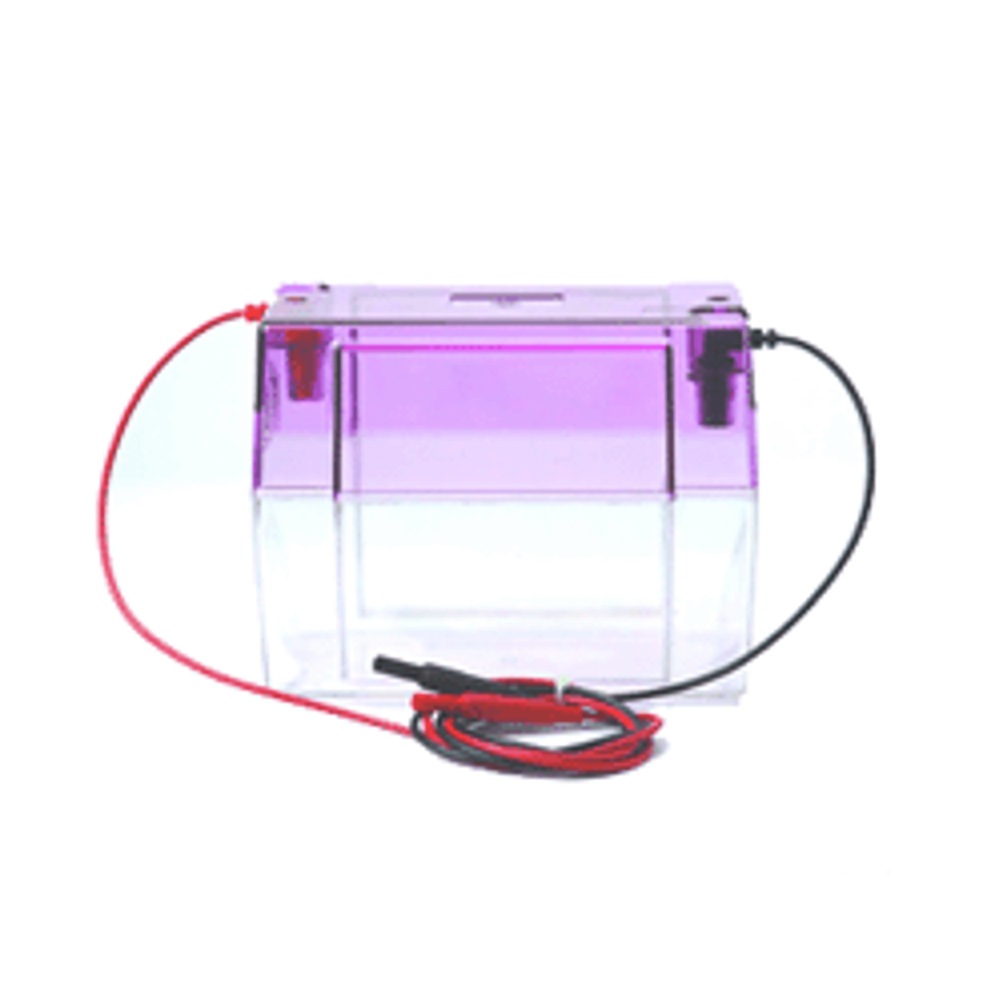 Electrophoresis Tank for VGES Vertical Electriphoresis System - Wealtec - Life Sciences