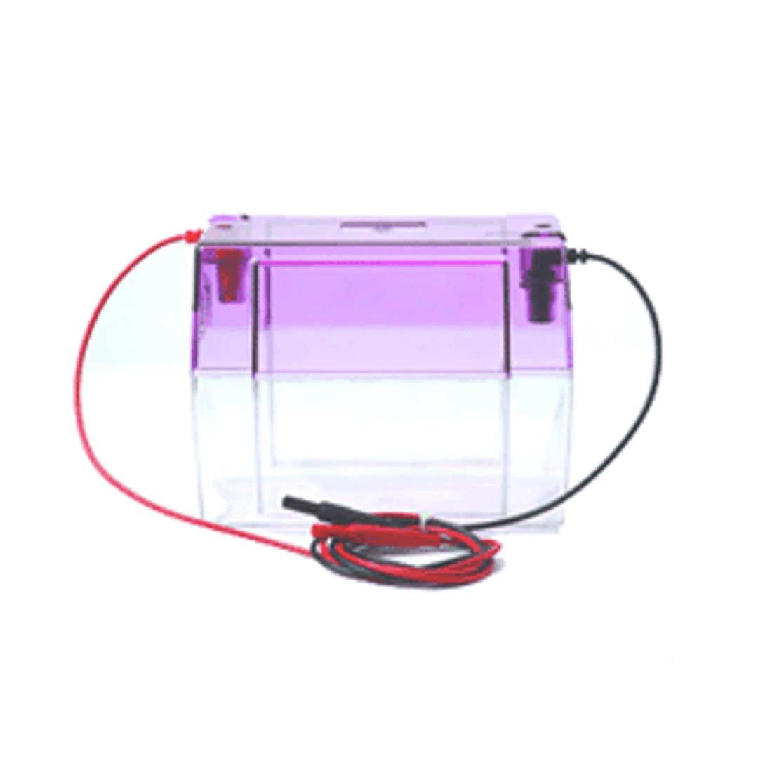 Electrophoresis Tank for VGES Vertical Electriphoresis System - Wealtec - Life Sciences