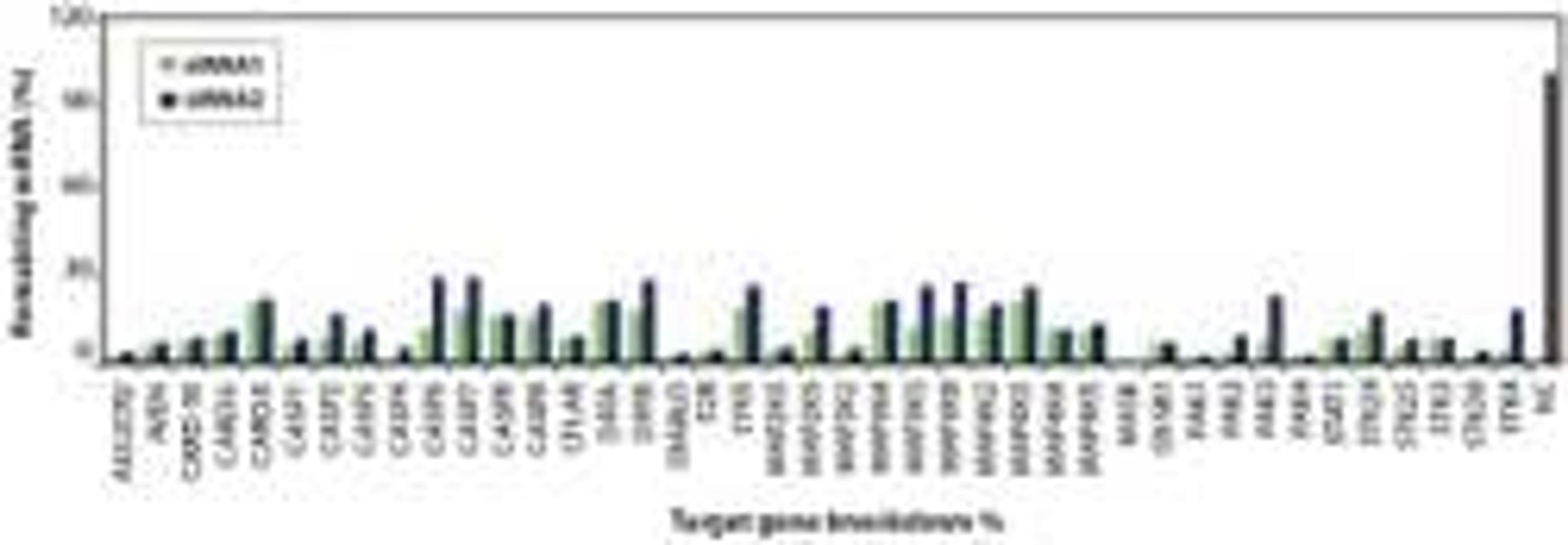 AccuTargetâ„¢ Predesigned siRNA Libraries organized by gene family and function - Bioneer - Life Sciences