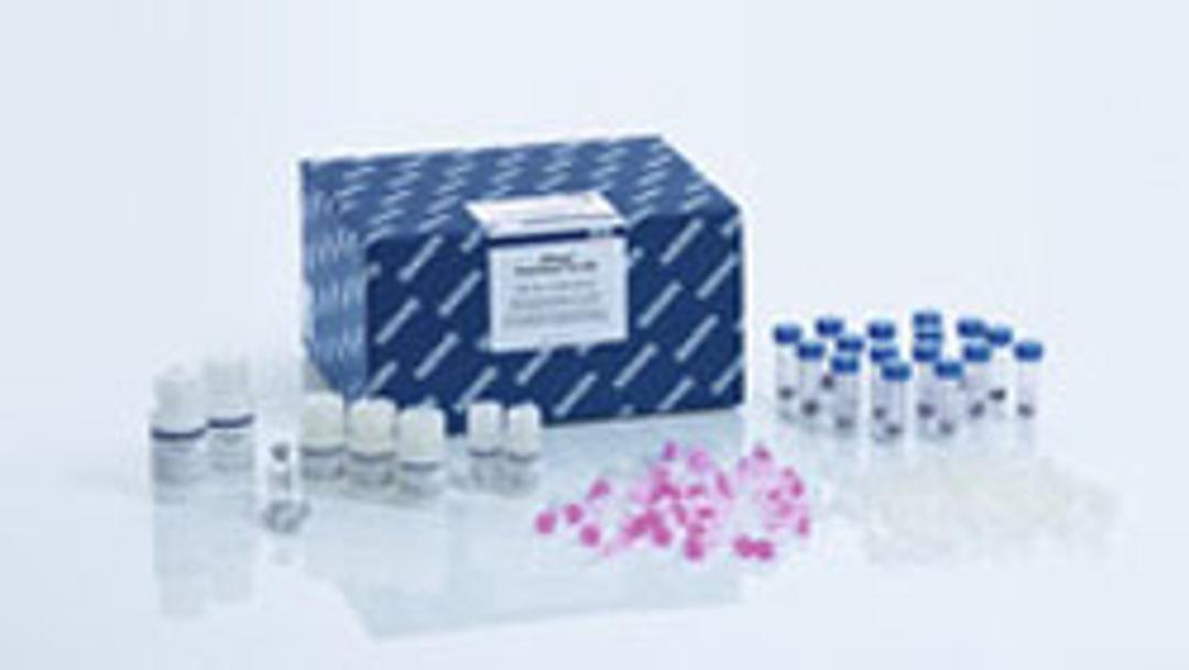 RNeasy PowerWater Kit (50) - QIAGEN