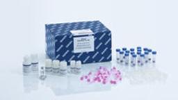 RNeasy PowerWater Kit (50) - QIAGEN