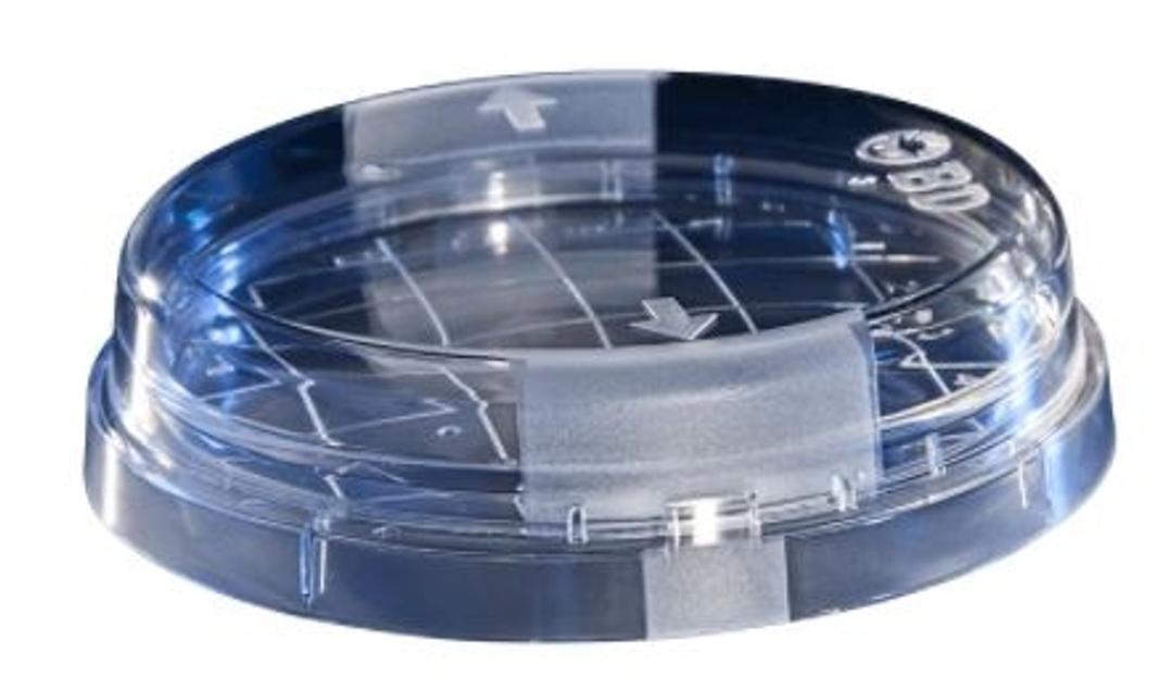 BD BBL prepared plated media - BD Biosciences - Life Sciences