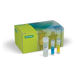 SingleShot™ Cell Lysis Kit, 100 x 50 µl rxns - Bio-Rad - Life Sciences