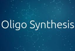 Oligo Synthesis - Macrogen Europe BV - Life Sciences