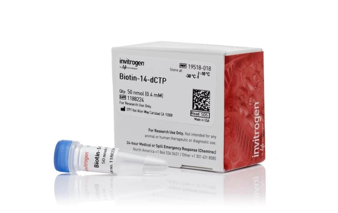 Biotin-14-dCTP - Thermo Fisher Scientific - Life Sciences