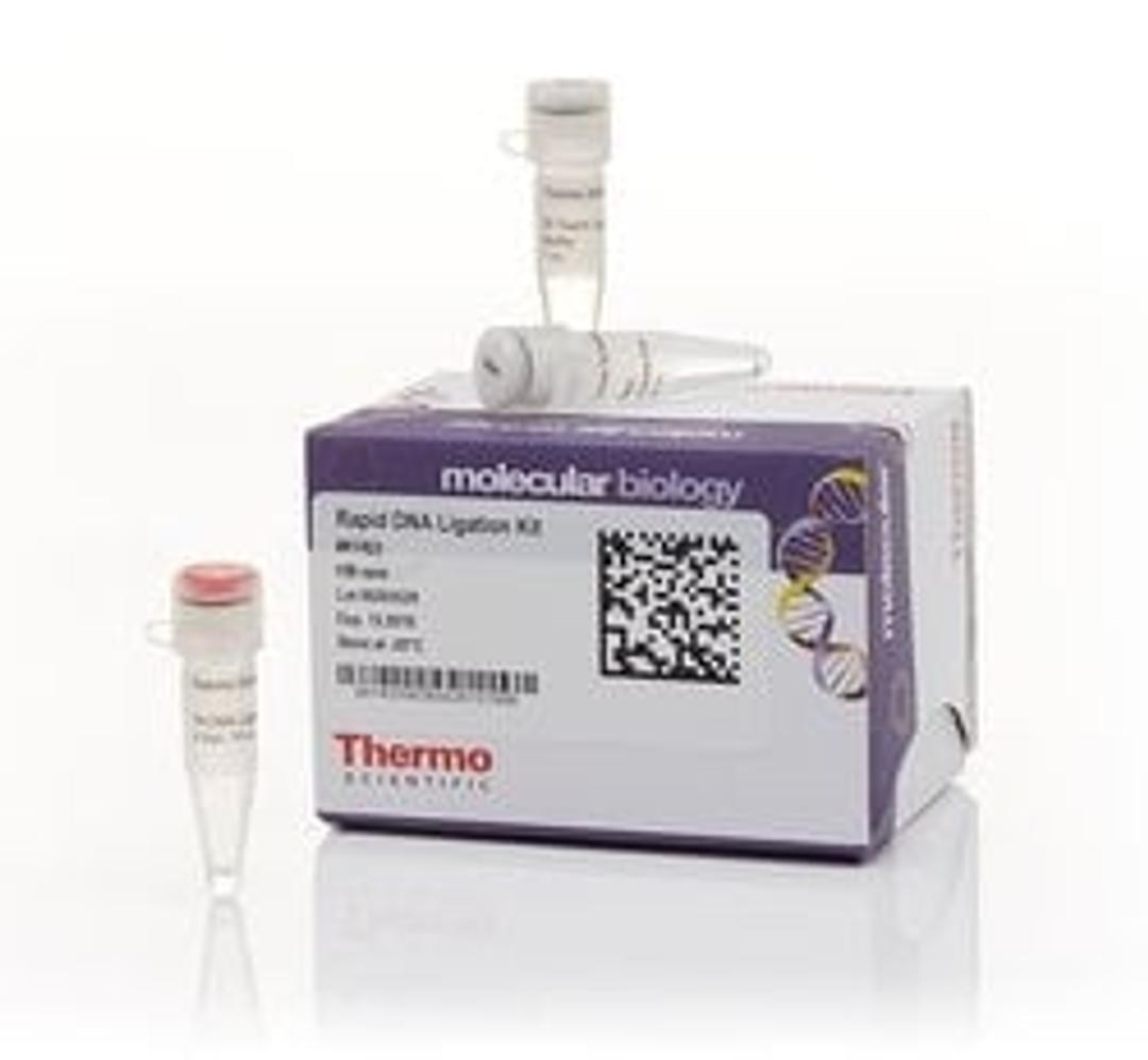 Thermo Scientific™ Rapid DNA Ligation Kit - Thermo Fisher Scientific