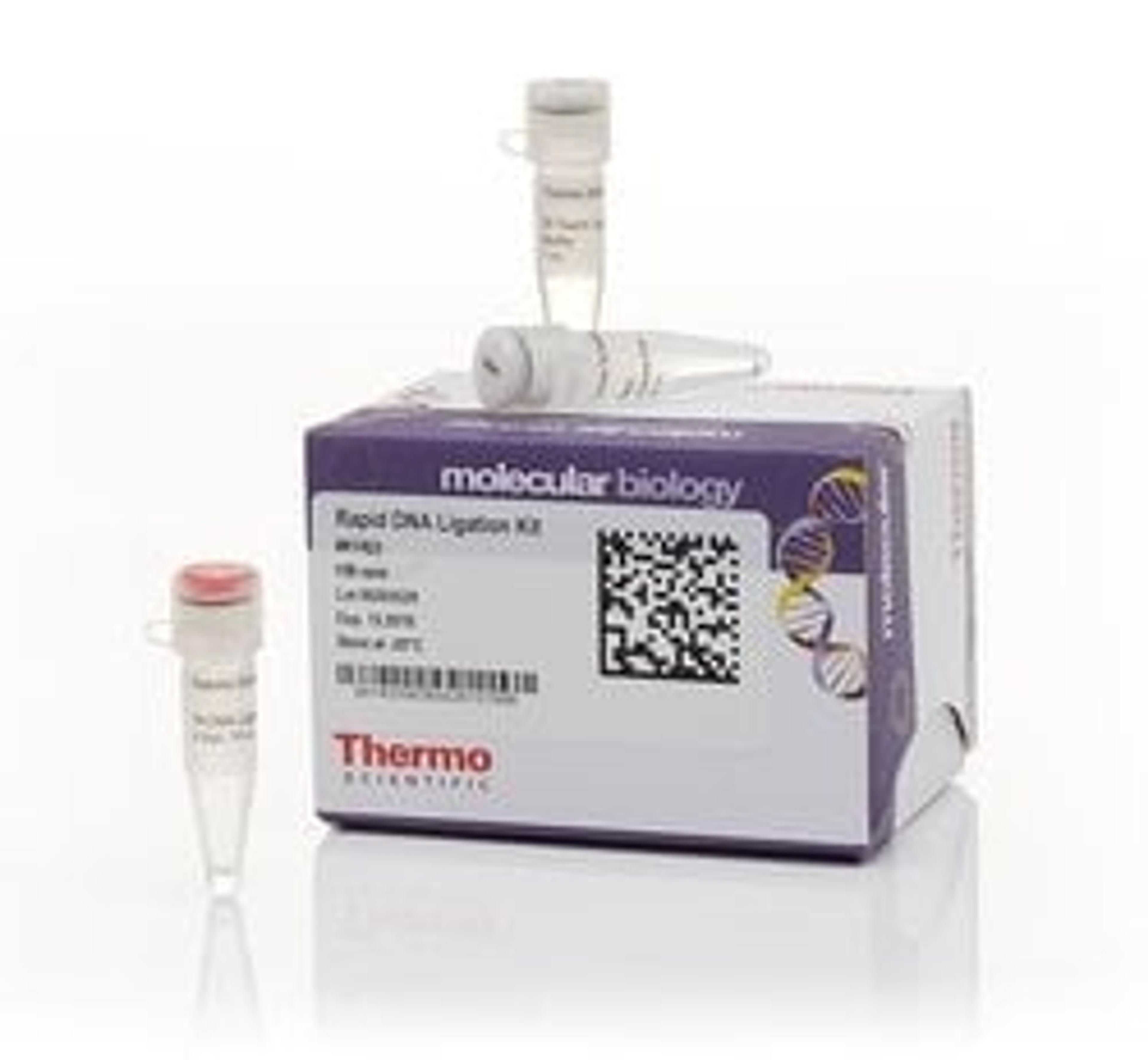 Thermo Scientific™ Rapid DNA Ligation Kit - Thermo Fisher Scientific