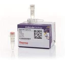 Thermo Scientific™ Rapid DNA Ligation Kit - Thermo Fisher Scientific