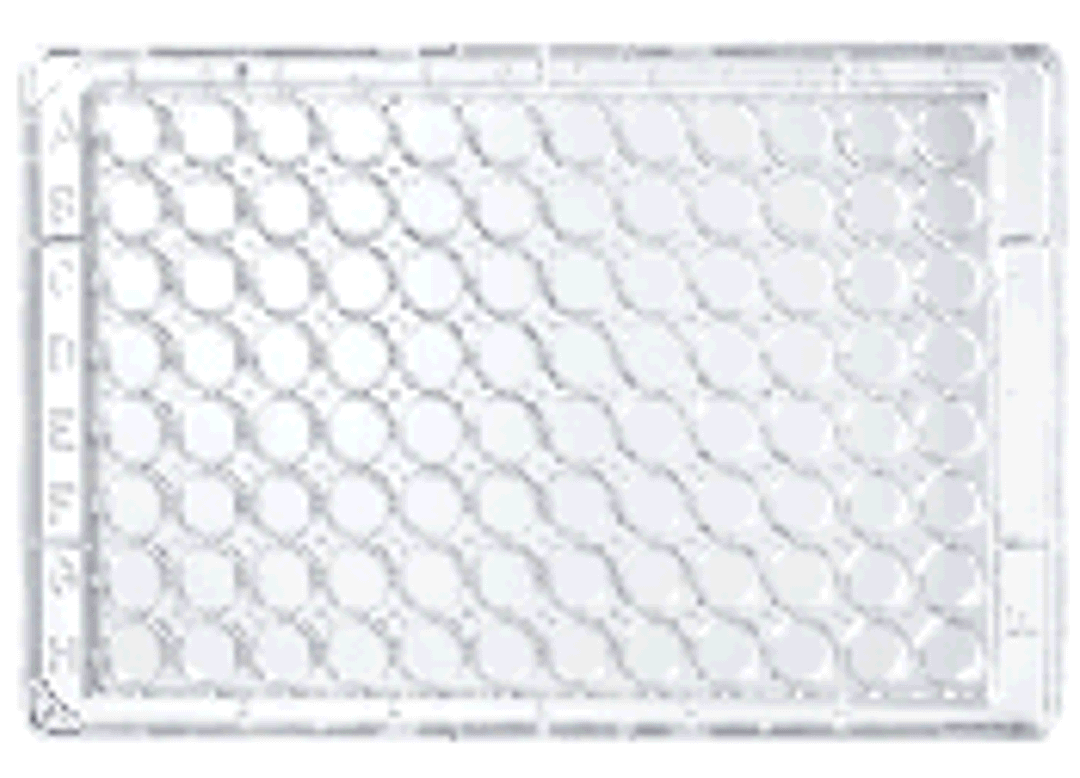 UV Microtiter Microplates - Thermo Fisher Scientific - Life Sciences