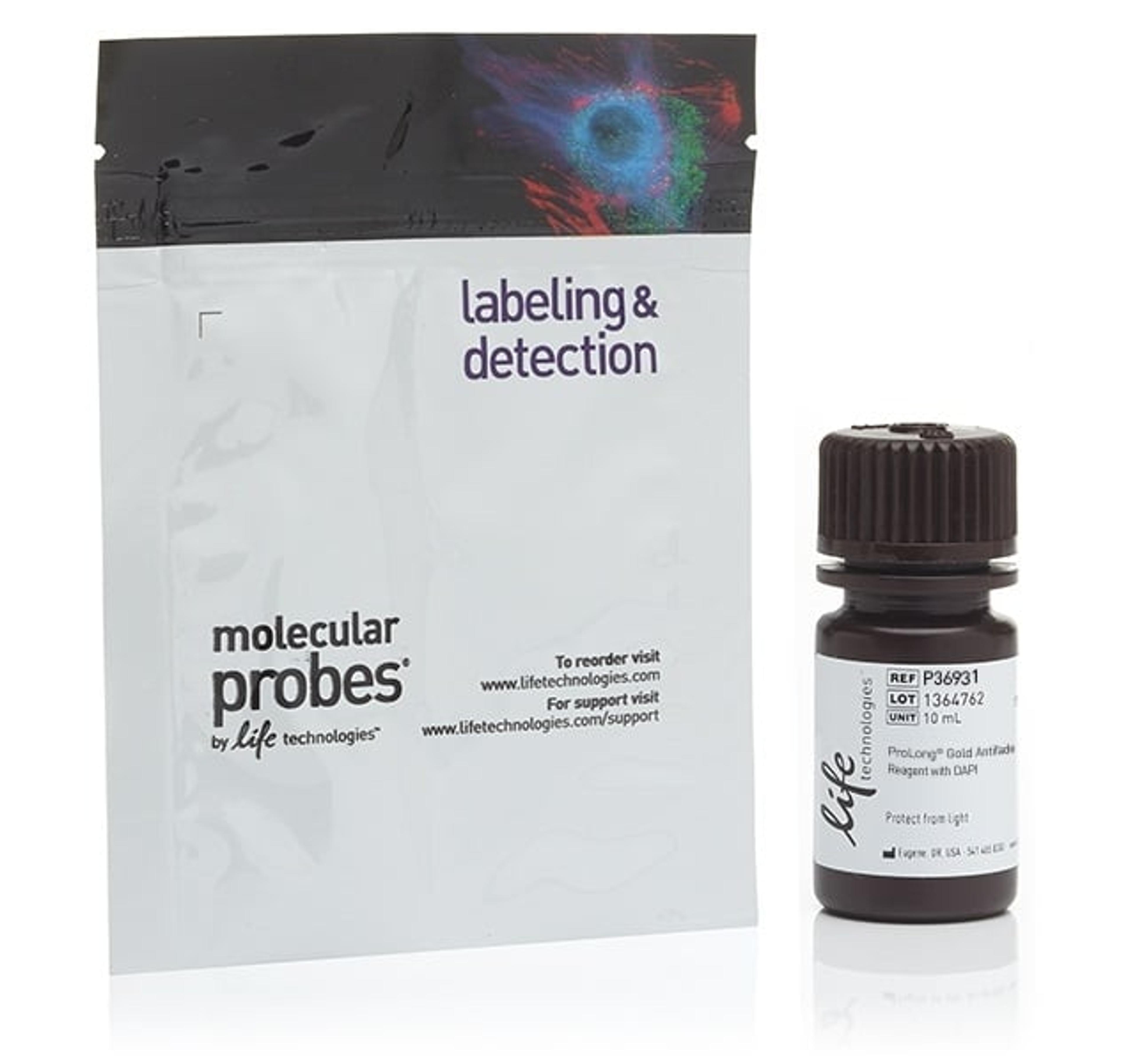 ProLong® Gold Antifade Mountant with DAPI - 10mL - Thermo Fisher Scientific - Life Sciences