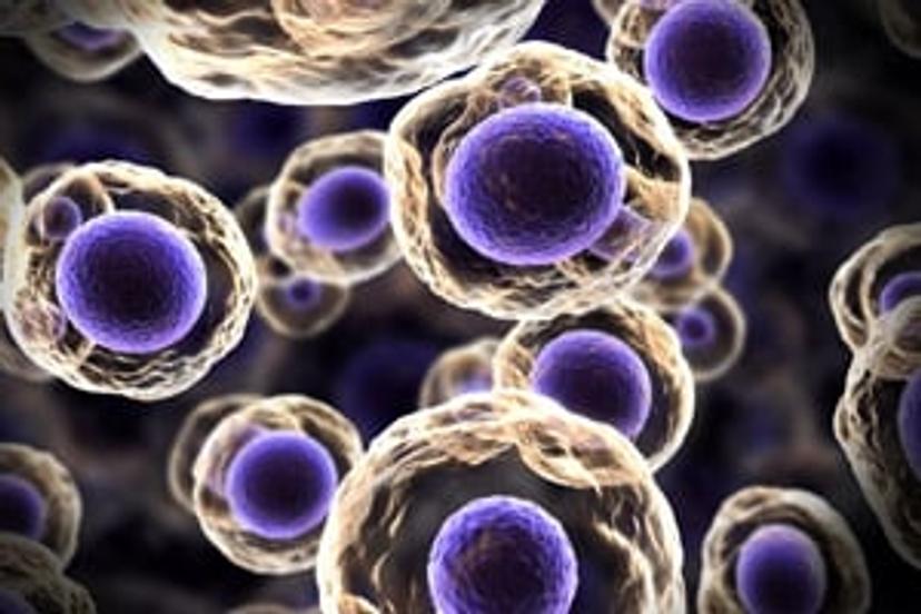 Methods and best practices for the development of single cells into colonies