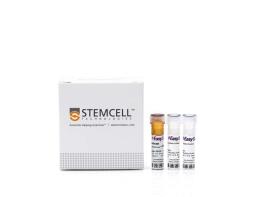 EasySep™ Human Naïve B Cell Isolation Kit - STEMCELL Technologies Inc. - Life Sciences