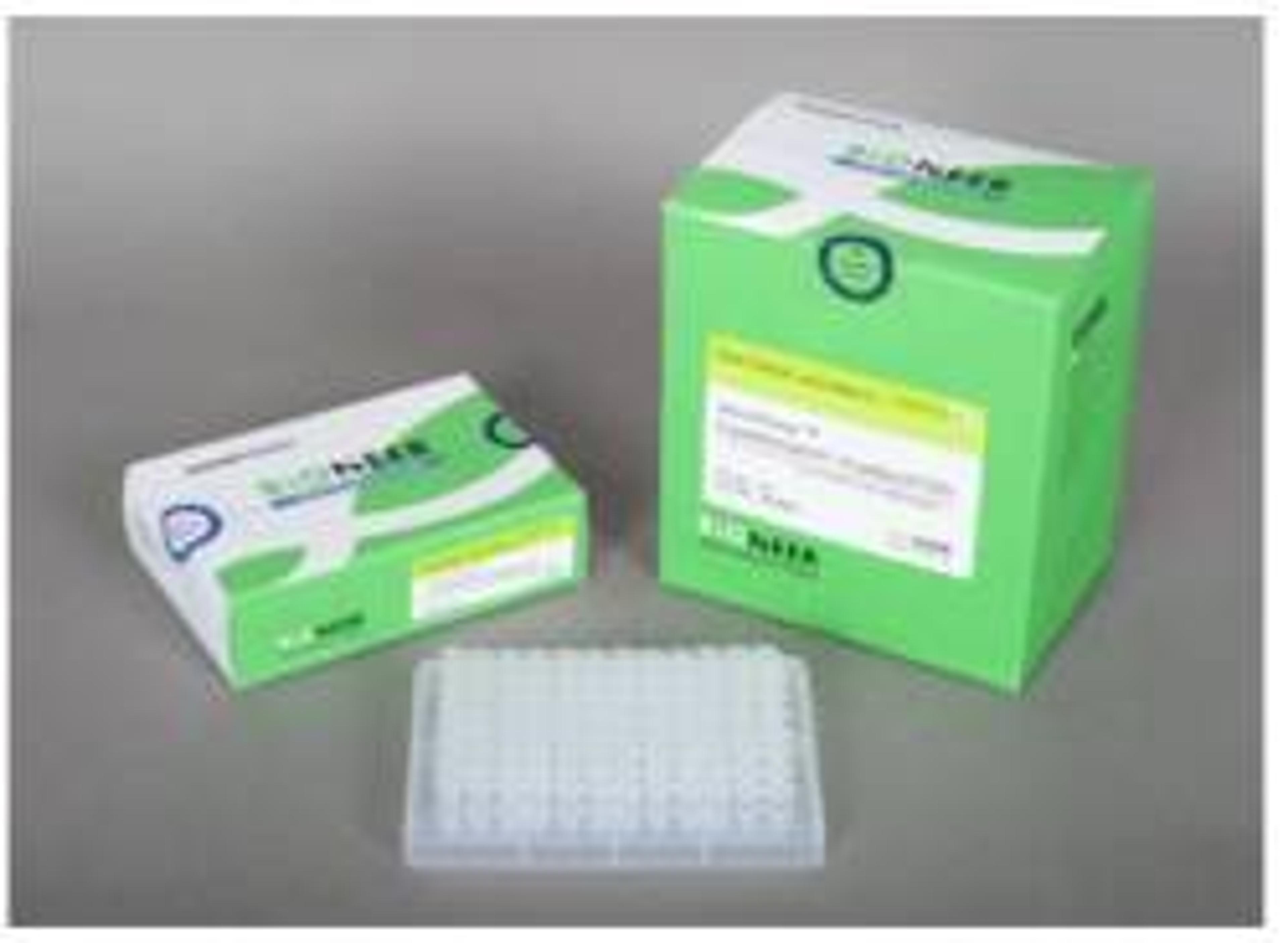 AccuPower® CycleScript Reverse Transcriptase PreMix - Bioneer - Life Sciences