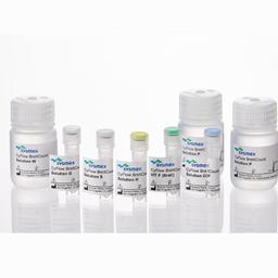 CyFlow BrettCount - Sysmex Europe SE - Life Sciences